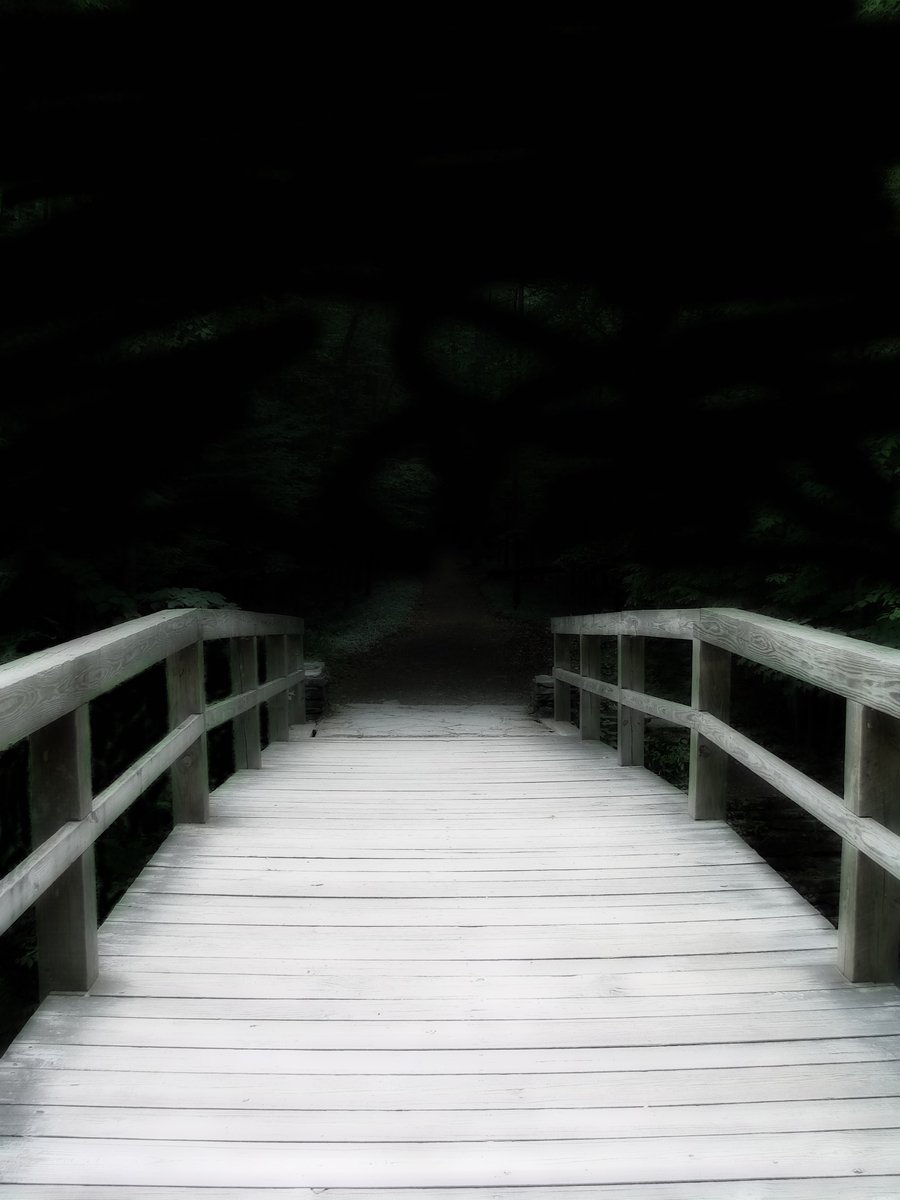 a white bridge spans over a dark forest