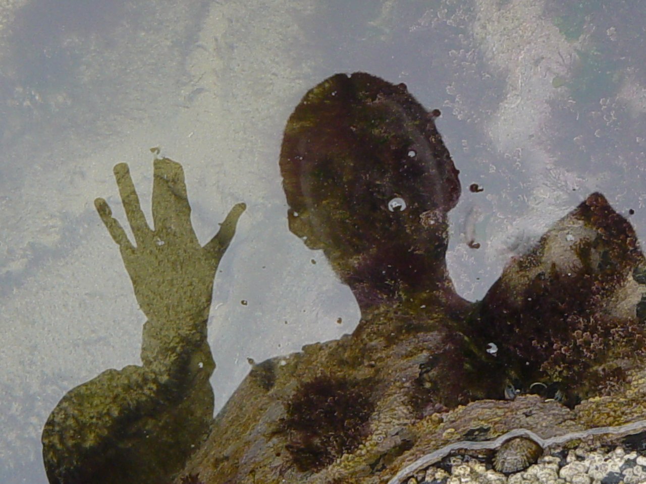 a person's shadow in water with a person's hand in the background