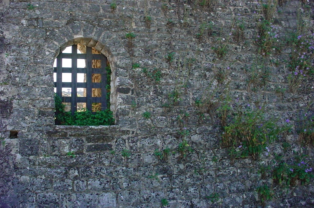 a window with small plants growing on it