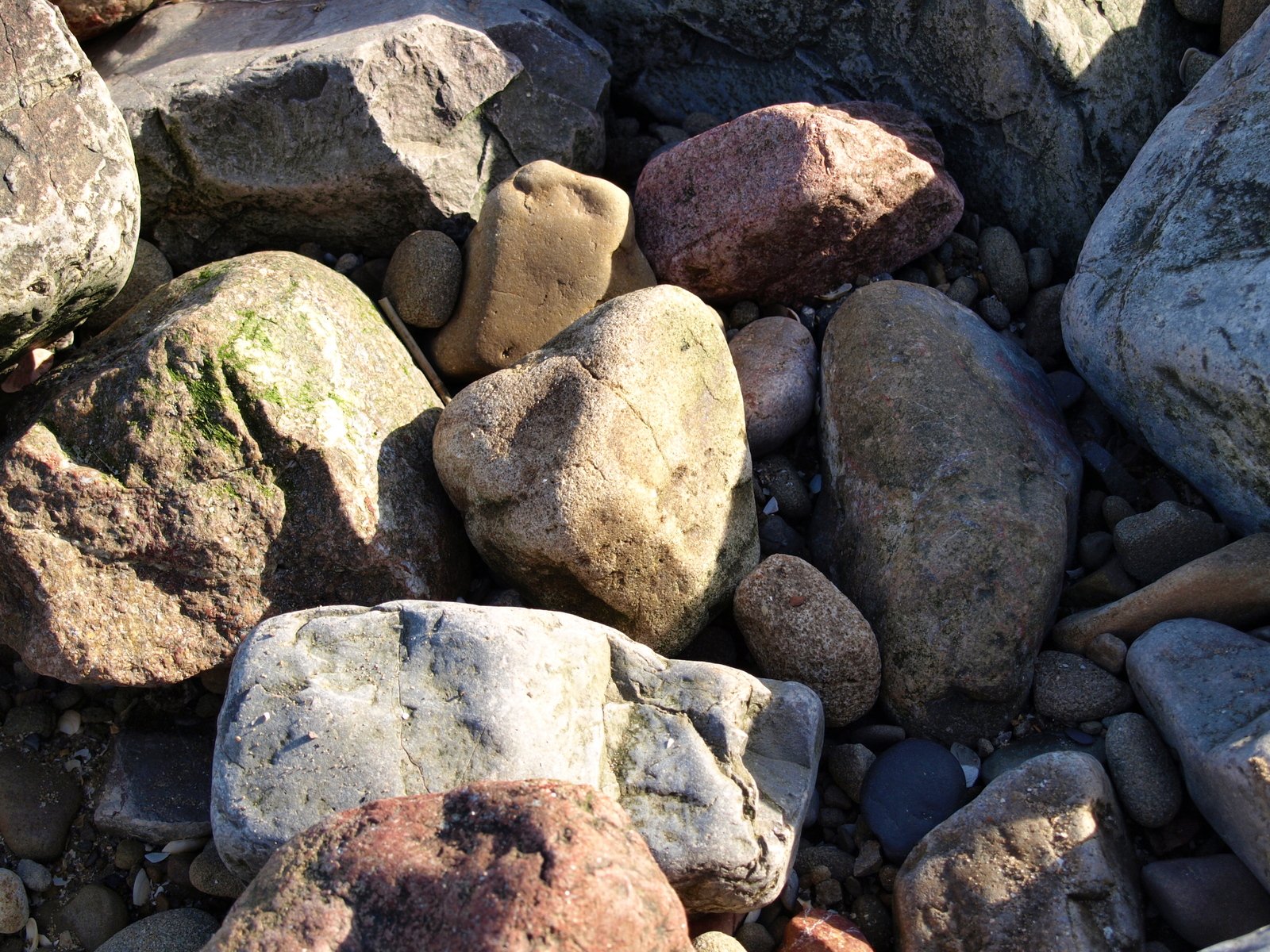 some very cute rocks and rocks in the ground