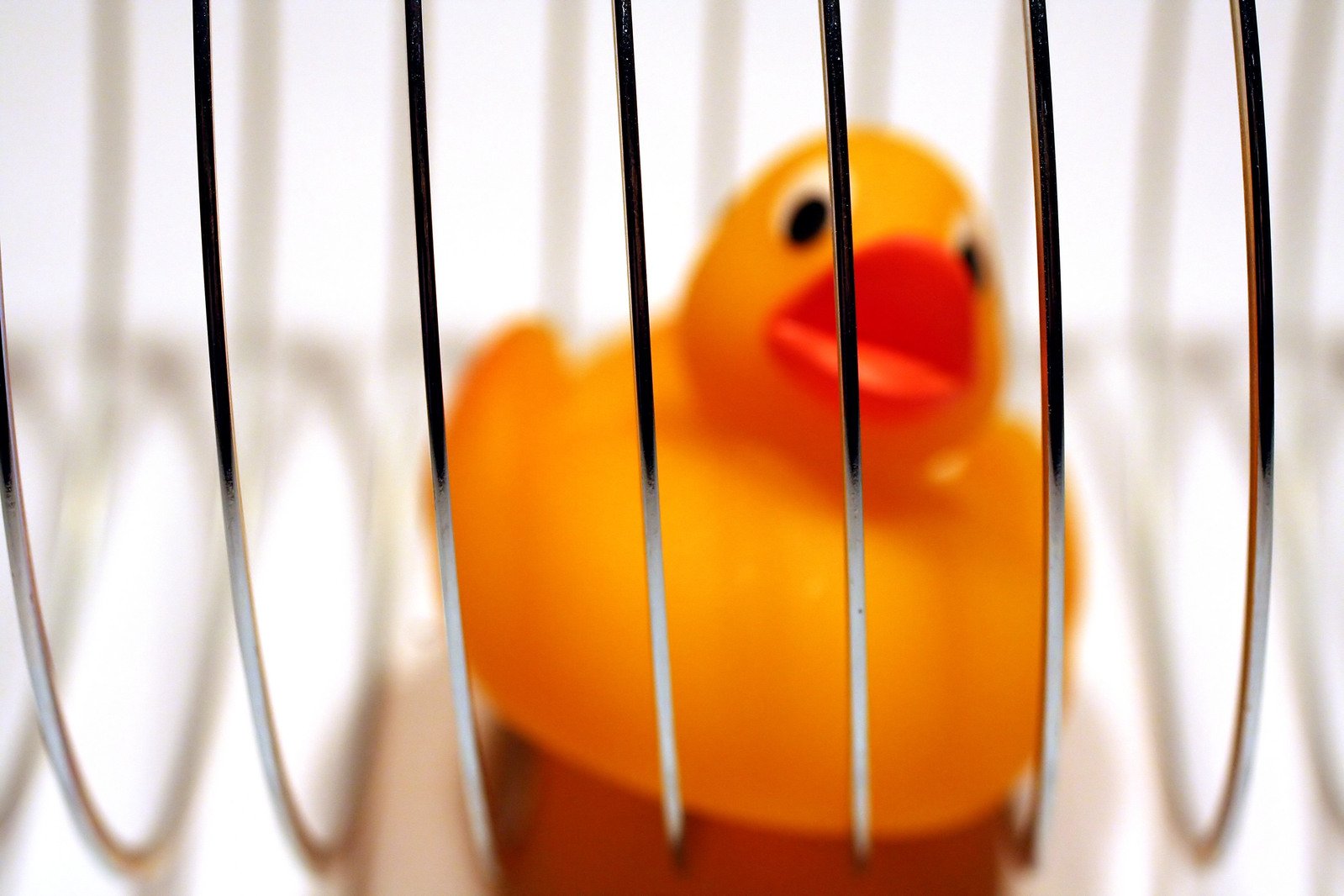 an orange rubber ducky floating in an open cage