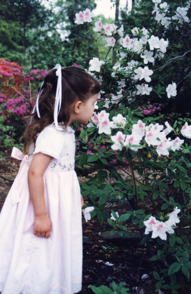 little girl standing in front of a flower bush