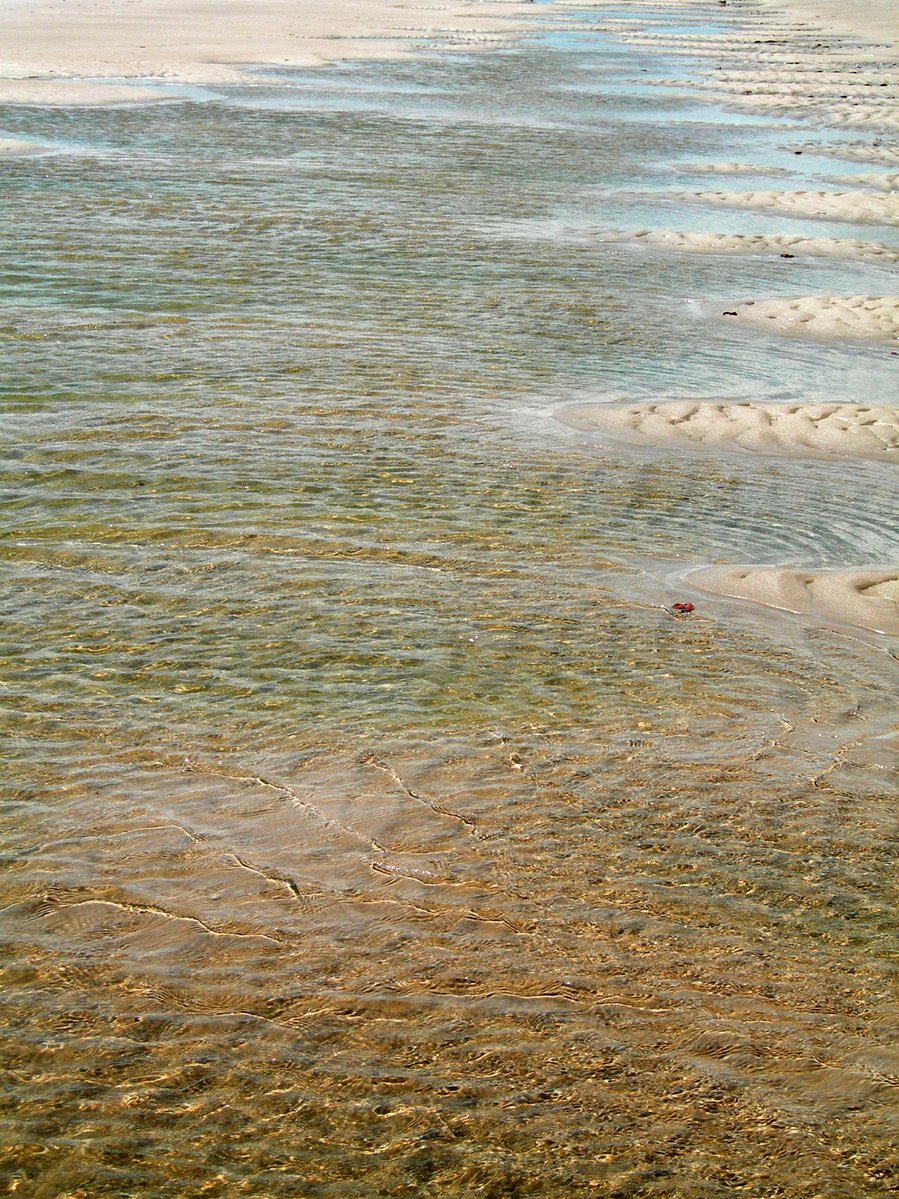 the water is crystal clear and brown