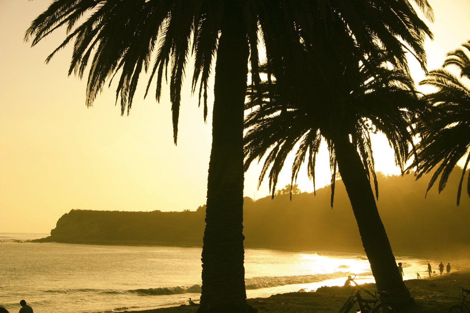 a couple of people and some palm trees at sunset