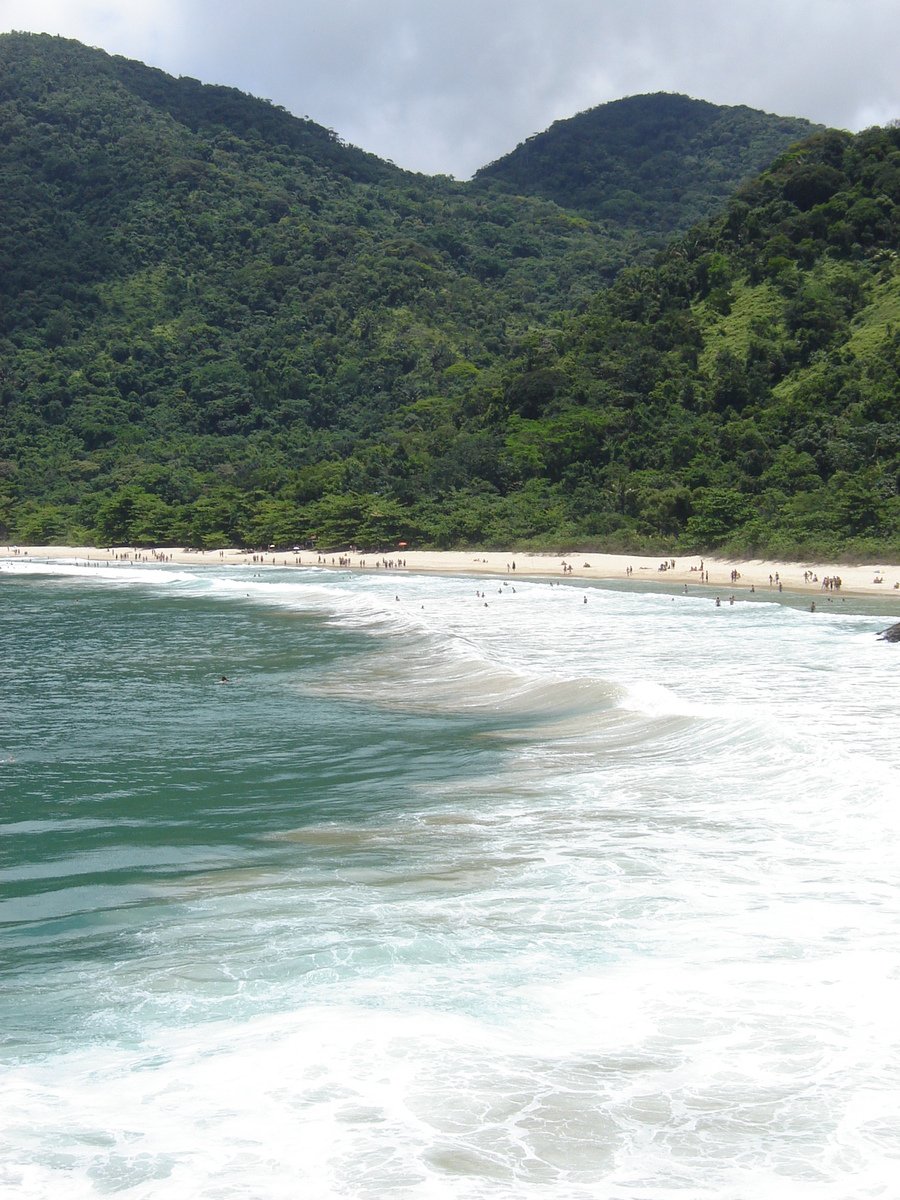 the beach is quiet, as many people are surfing