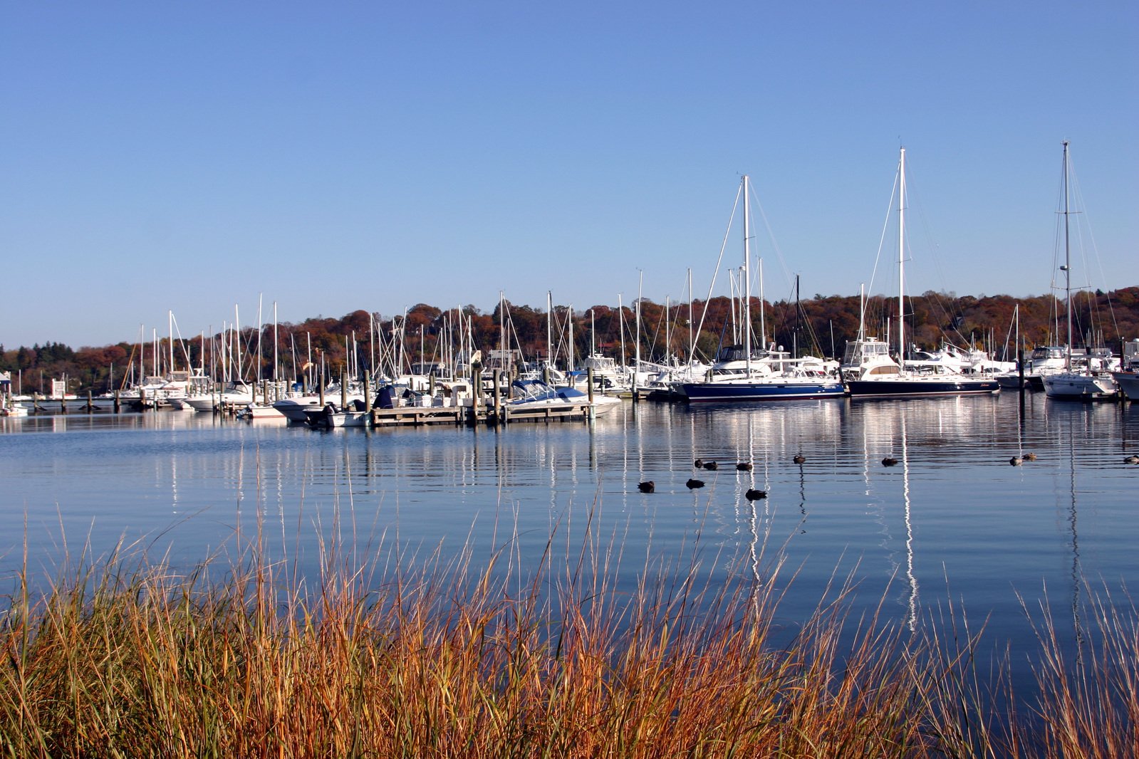 many boats are docked near the shore of the water