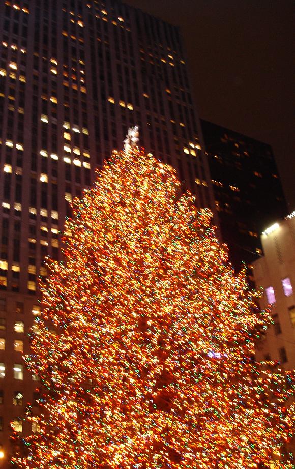 the giant christmas tree is glowing with white lights