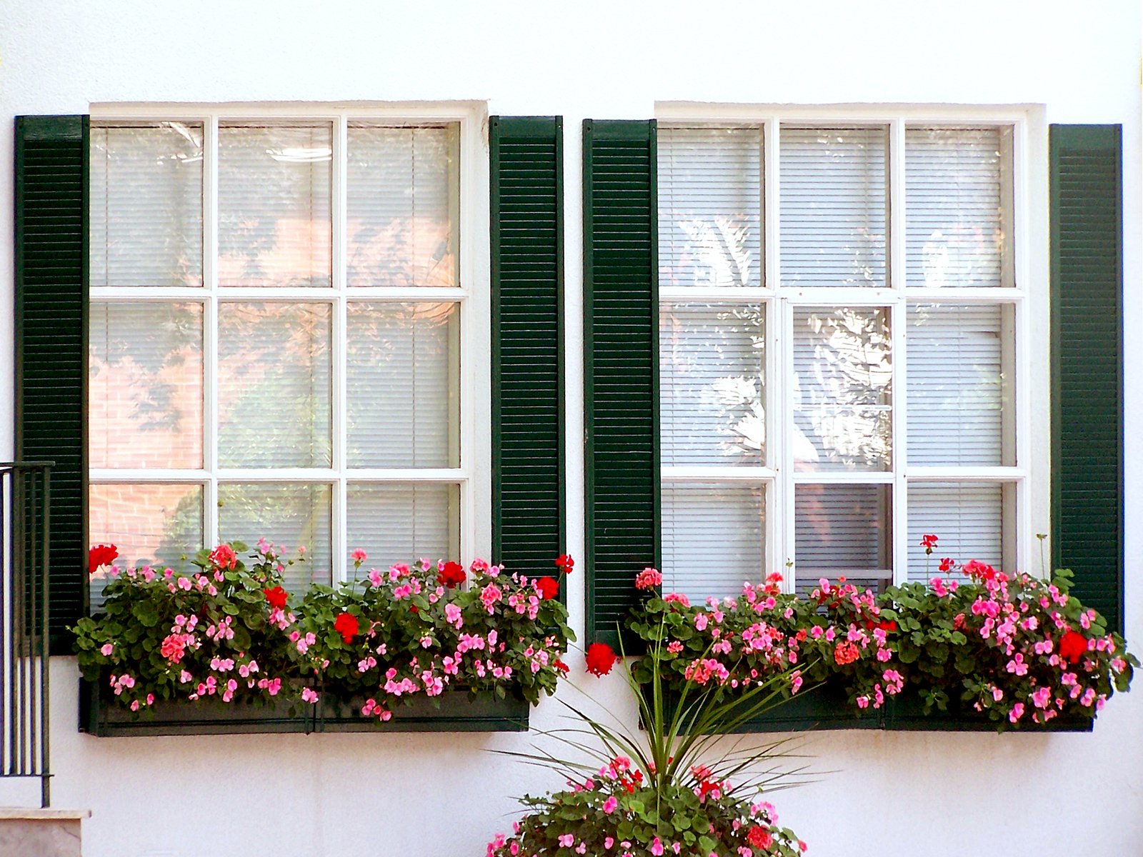 two window boxes are filled with pink and red flowers