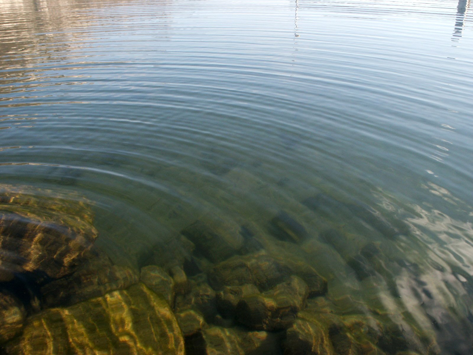 a body of water with rocks in it