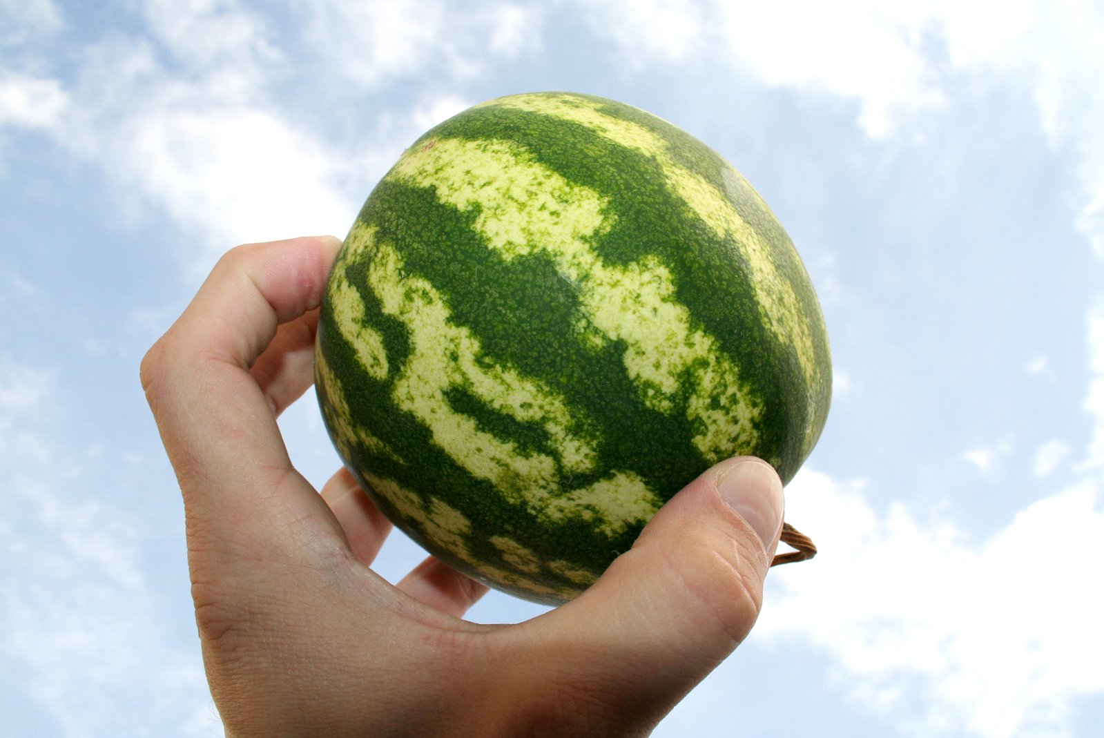 hand holding a whole watermelon in the sky
