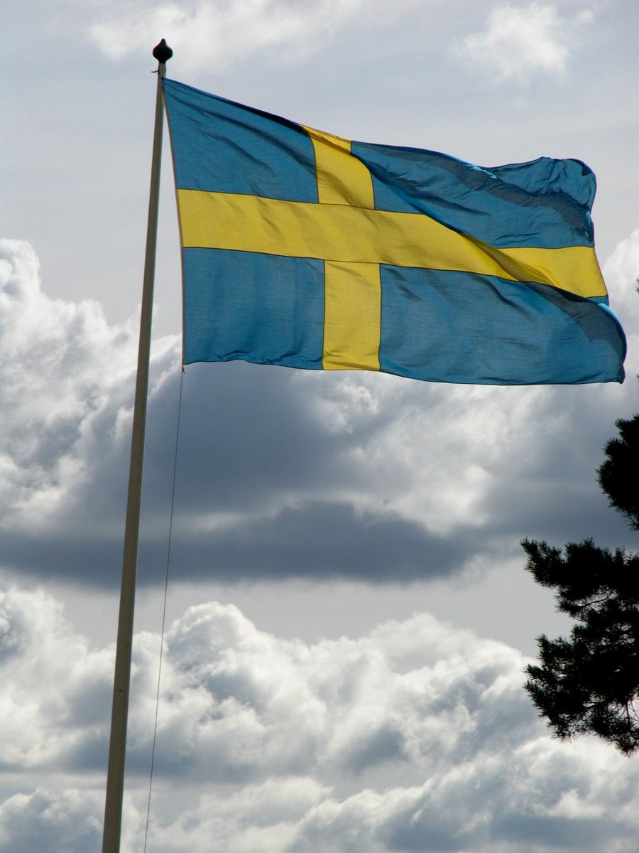 an blue and yellow flag flying in the wind