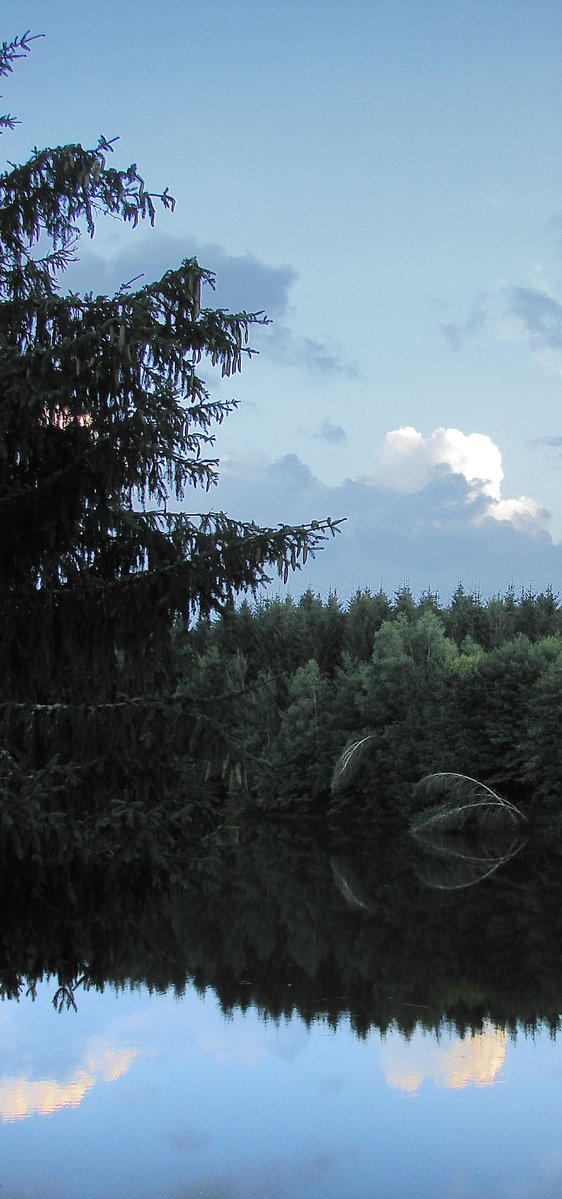 water in the foreground and trees on the other side with clouds above