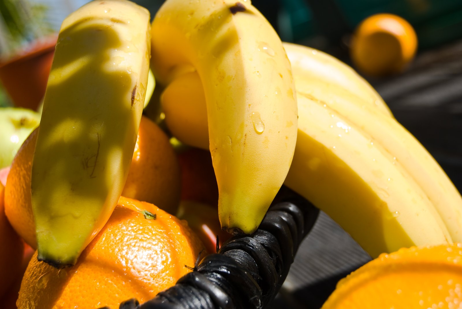 several bananas and oranges in a basket together