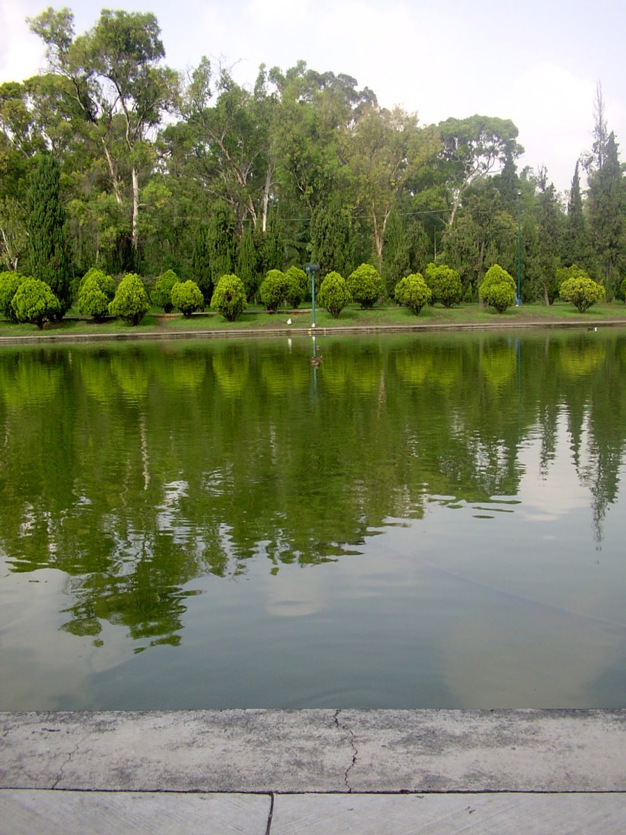 a lake is filled with lots of green water