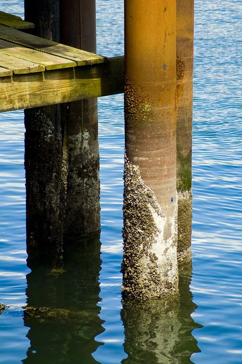 there are two poles that are connected to the ocean