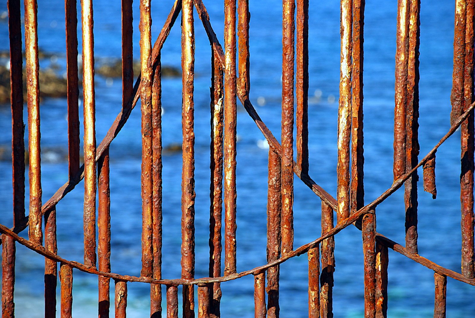 an iron fence with a blue water in the background