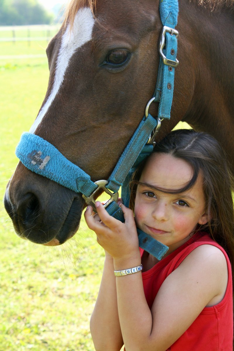 a girl smiles and petts a horse on the nose