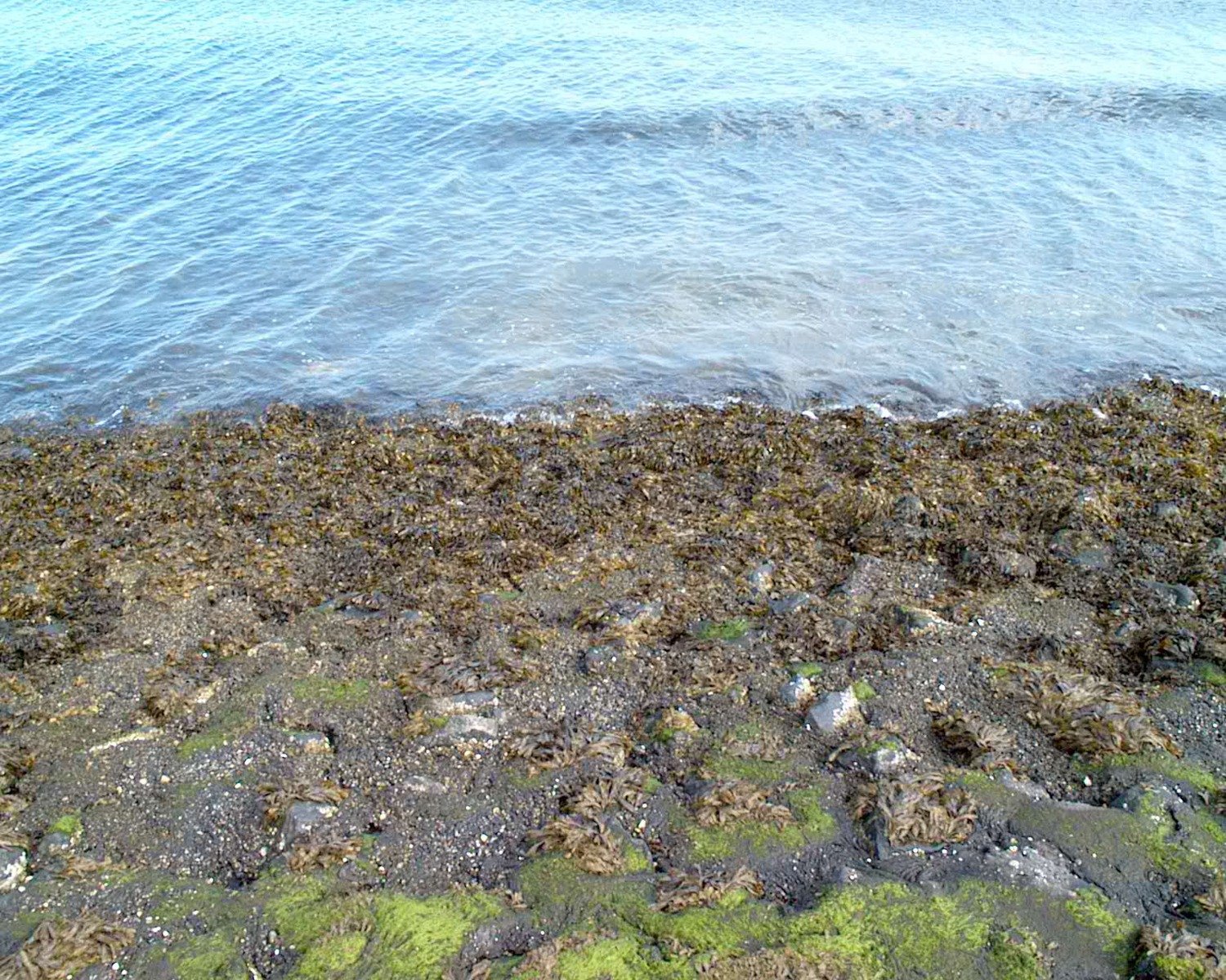 a rock covered shore line next to a body of water