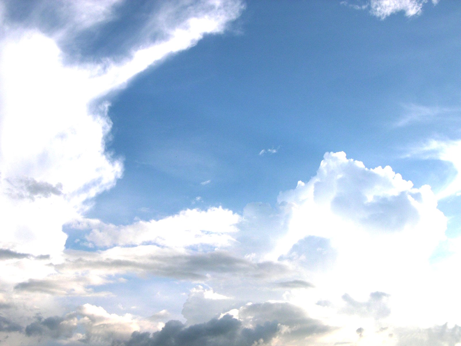 two red kites flying over a cloud filled sky