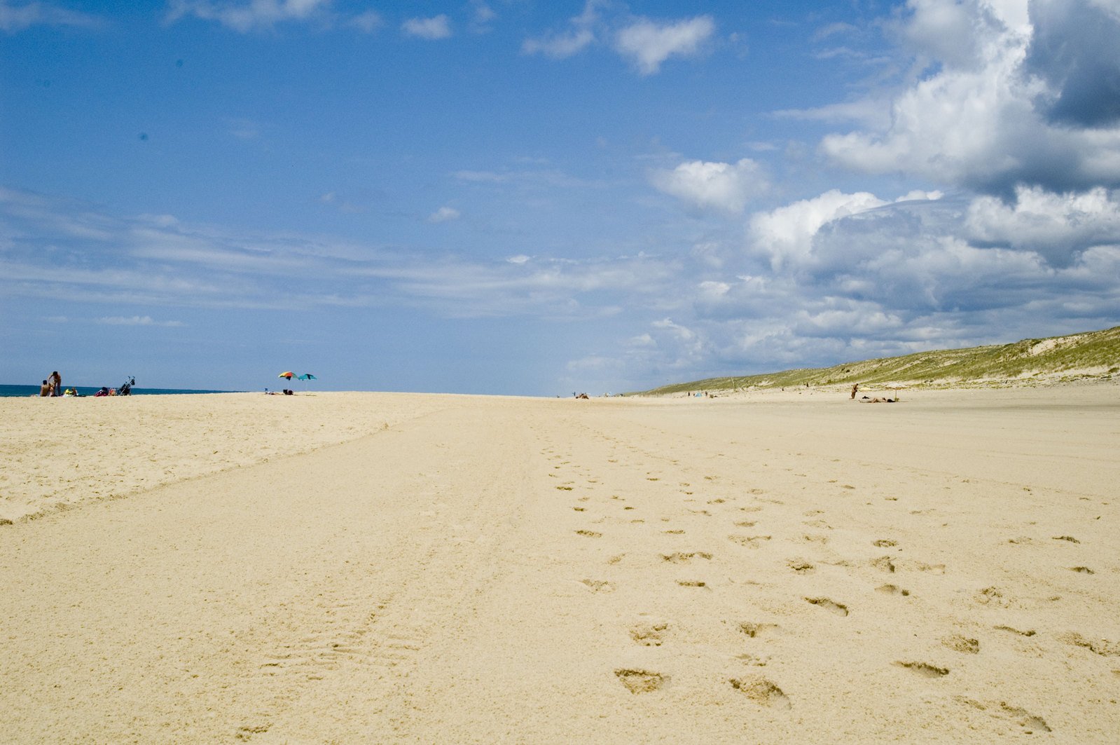 a beach area with two footprints in the sand