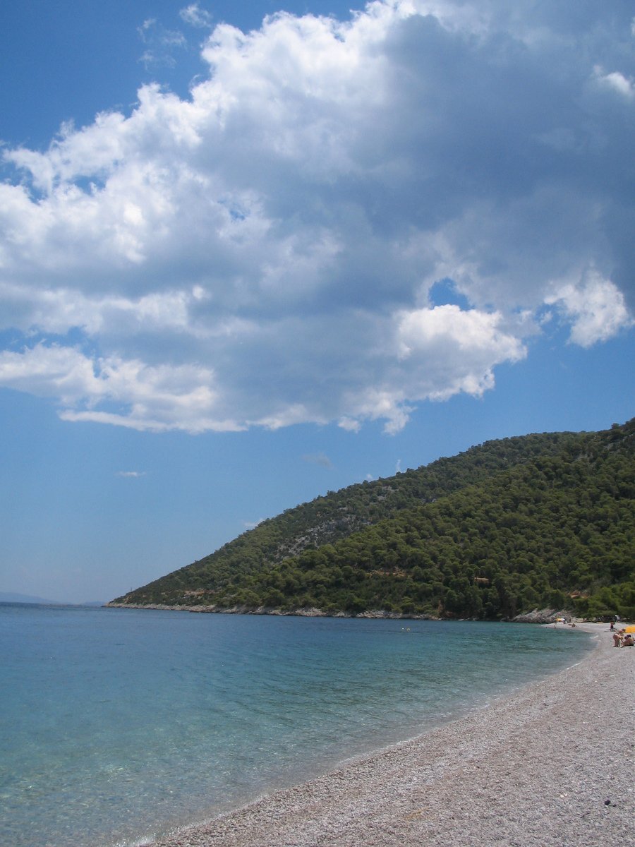 a sandy beach next to a hill covered in greenery