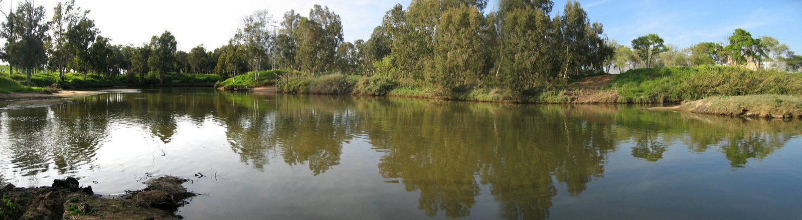 a lake surrounded by trees and bushes near the edge of a forest