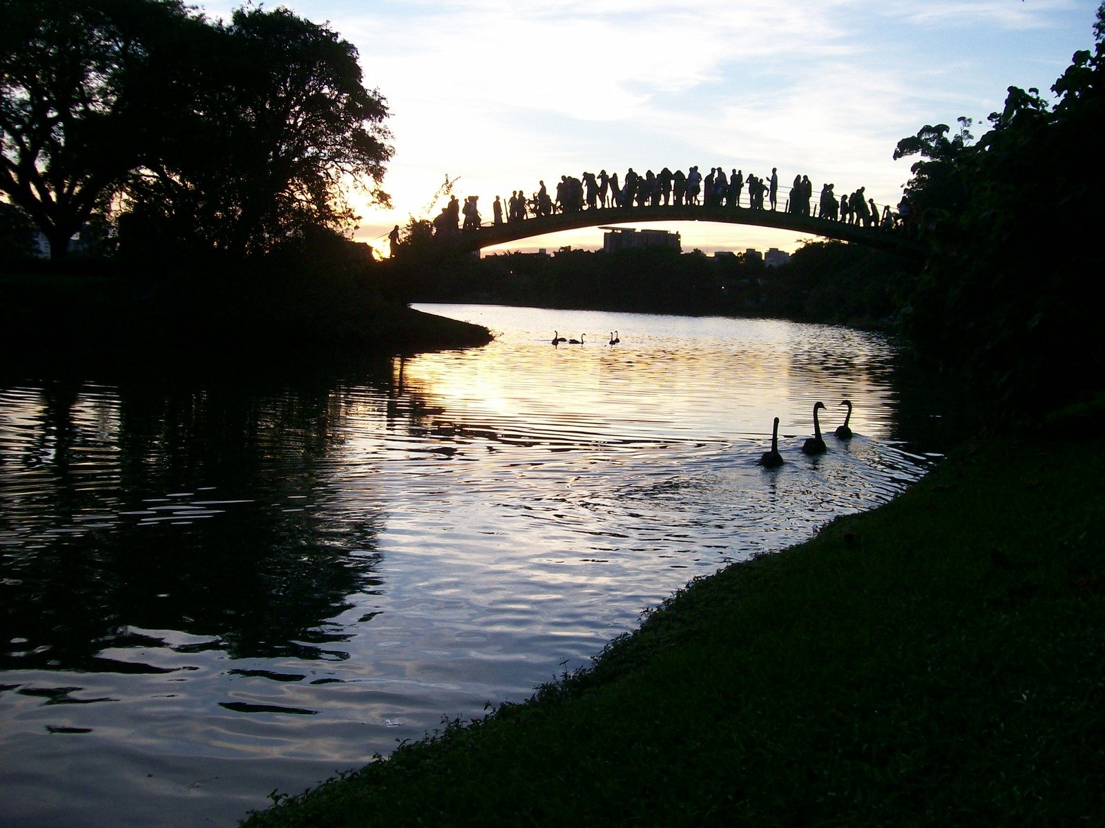 a bridge spanning a river, with some people on it