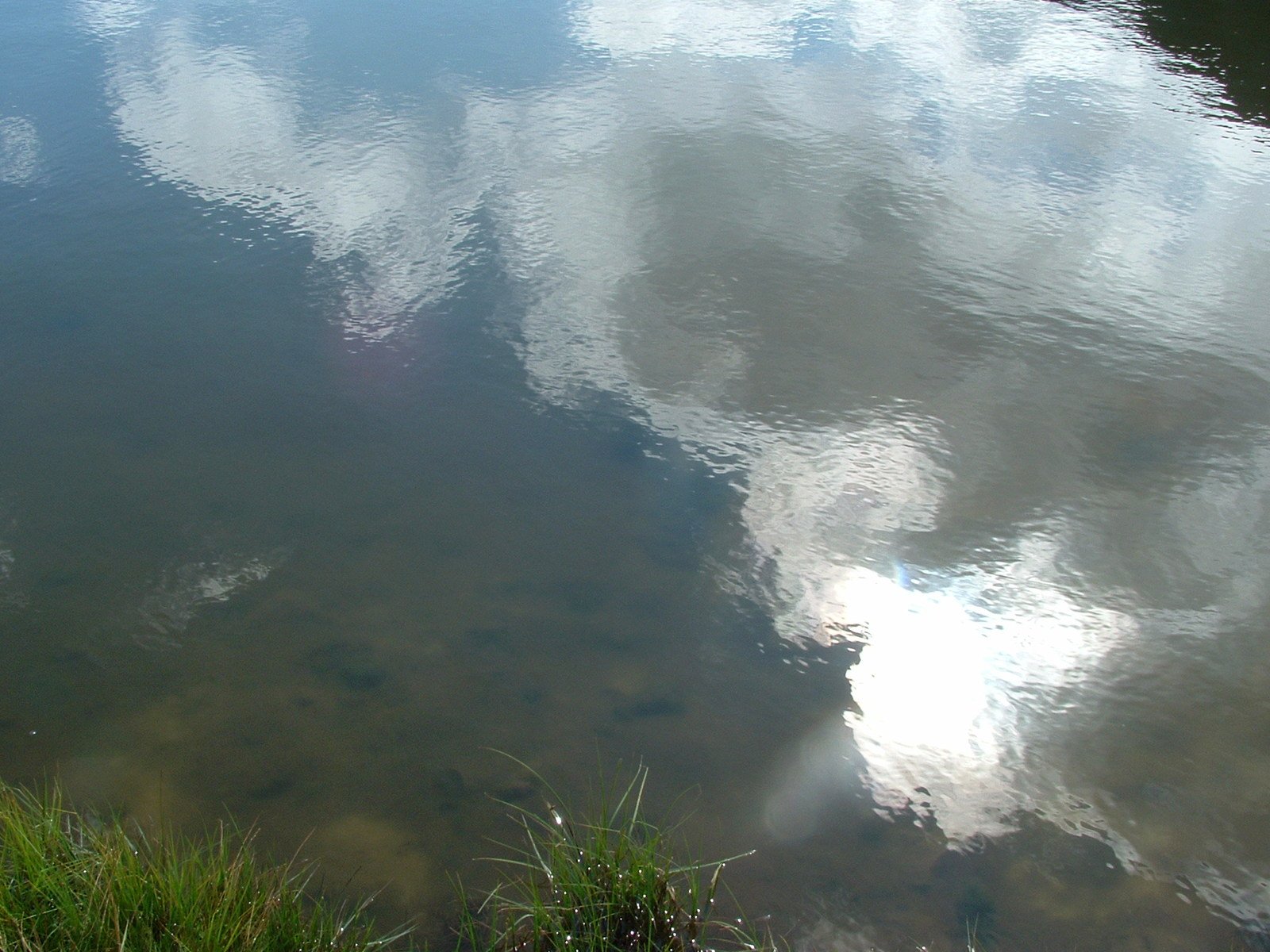 sky, clouds and grass reflected in the water