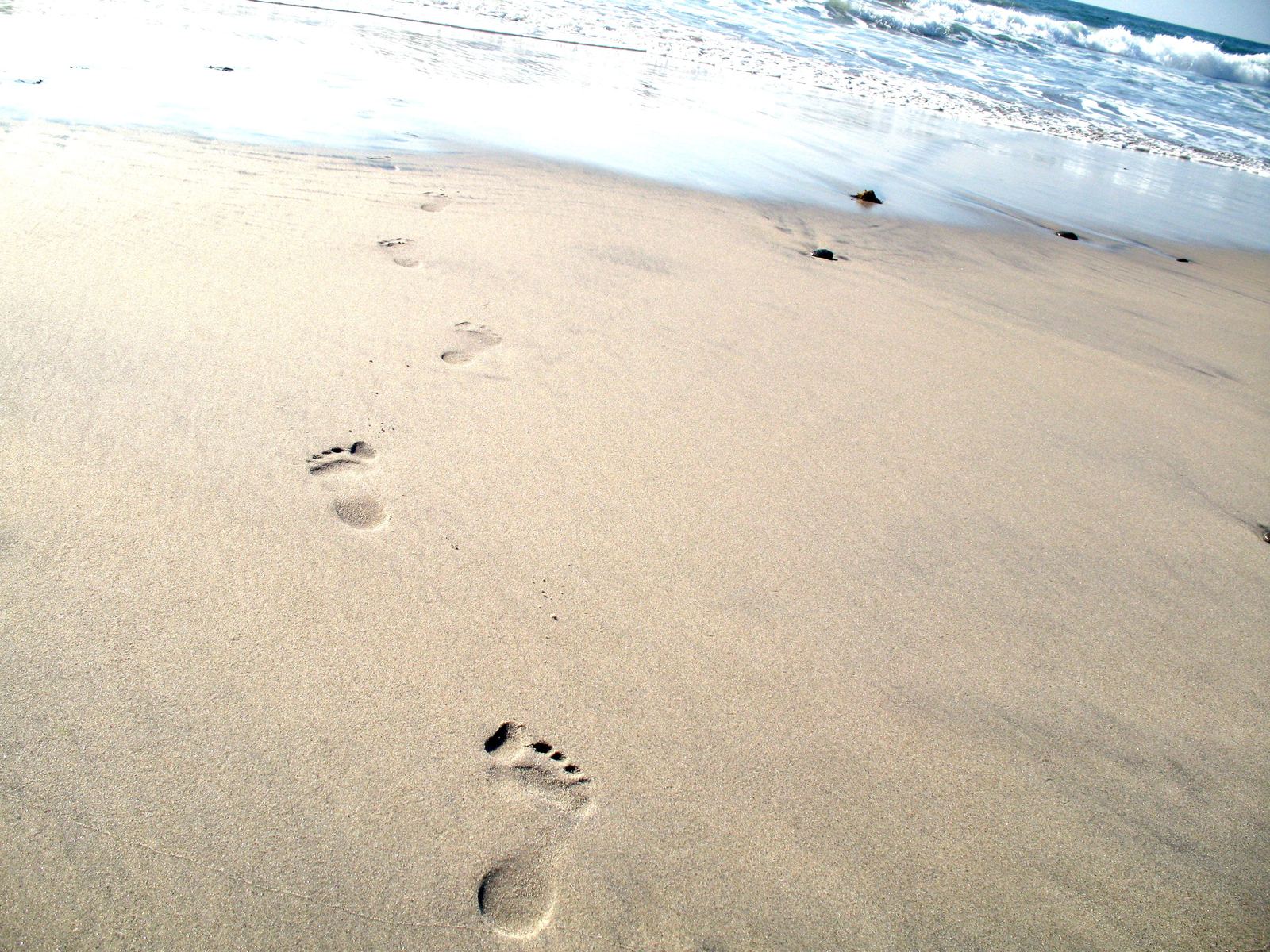 footprints in the sand looking towards the ocean