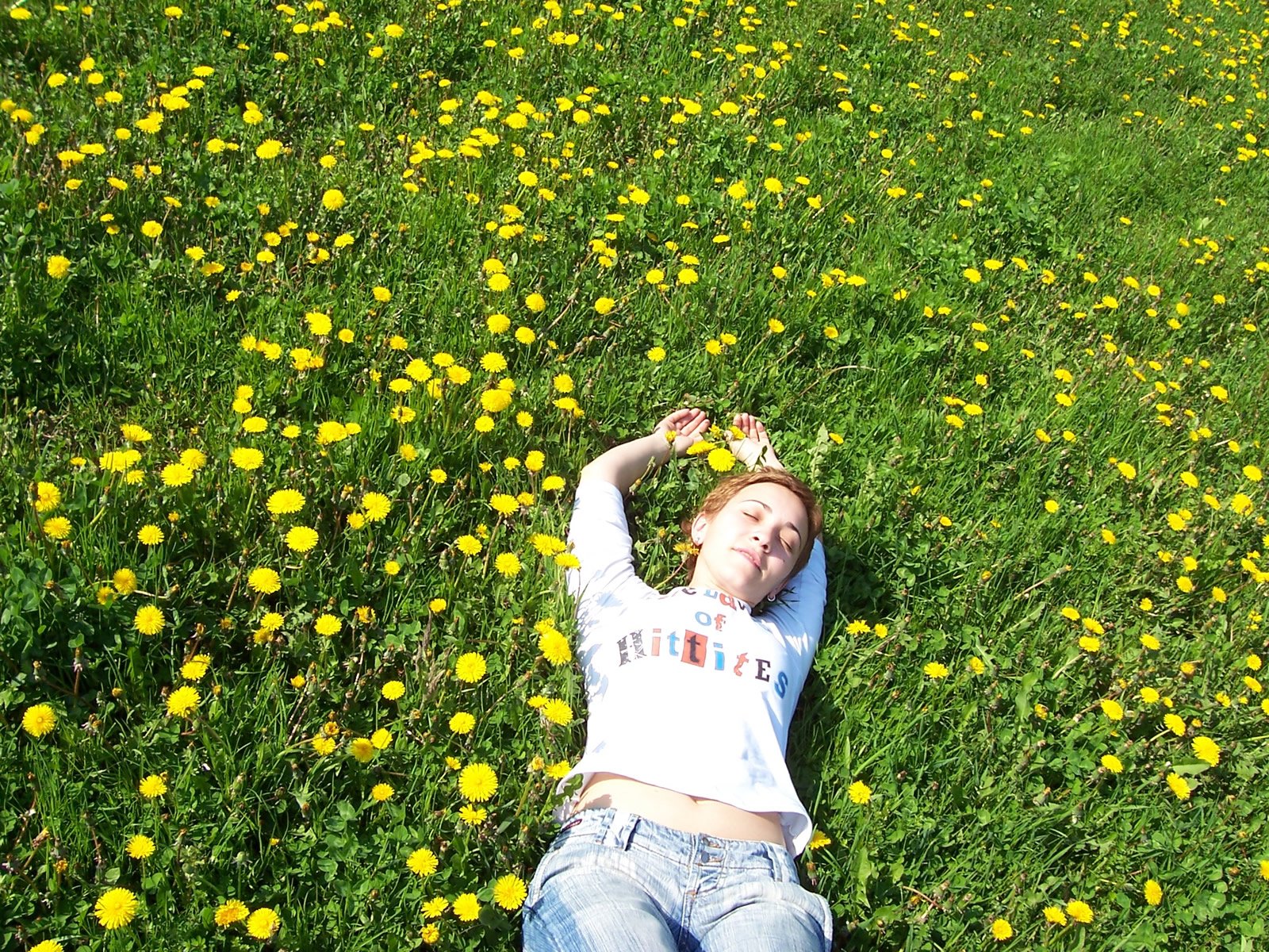 a woman laying in a field with lots of yellow flowers