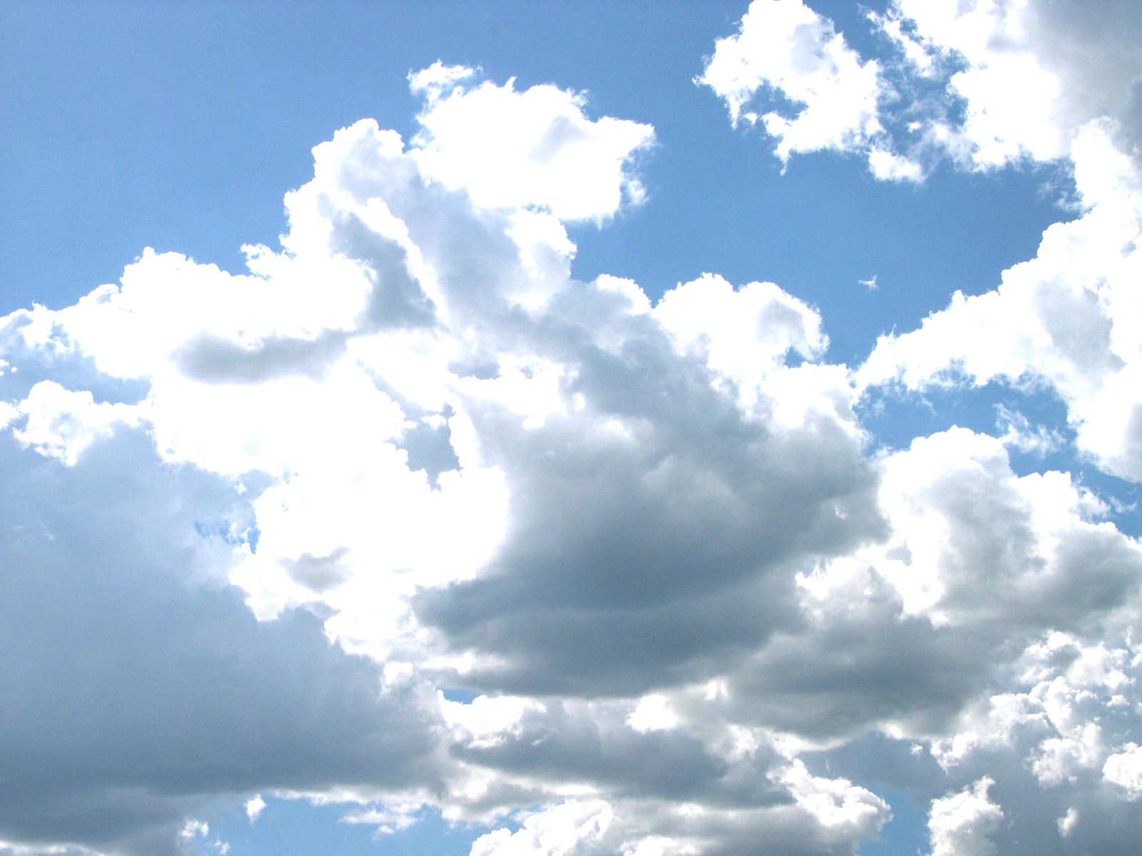 a large group of white clouds floating in the sky