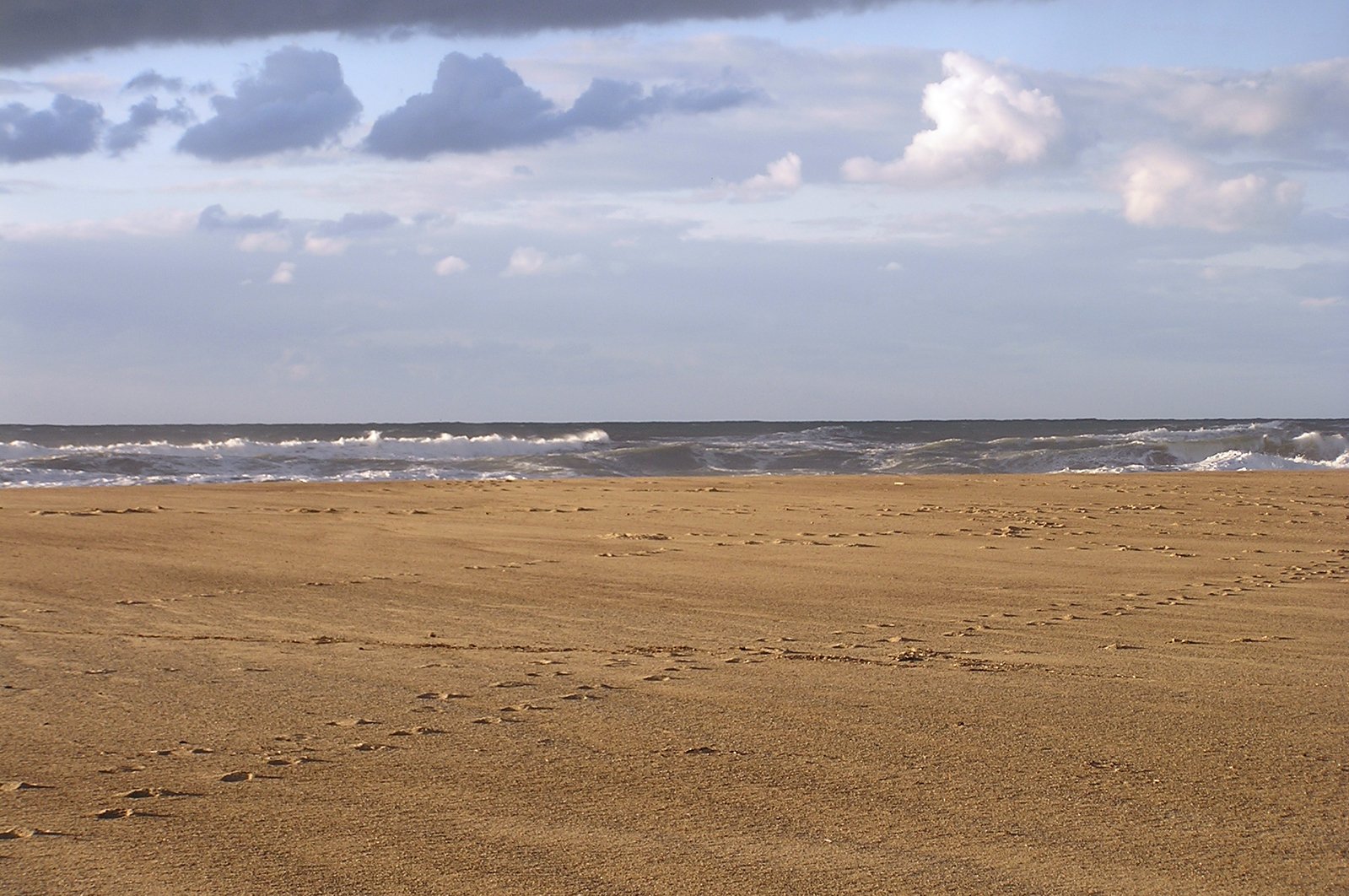 the waves crashing onto the beach are coming in