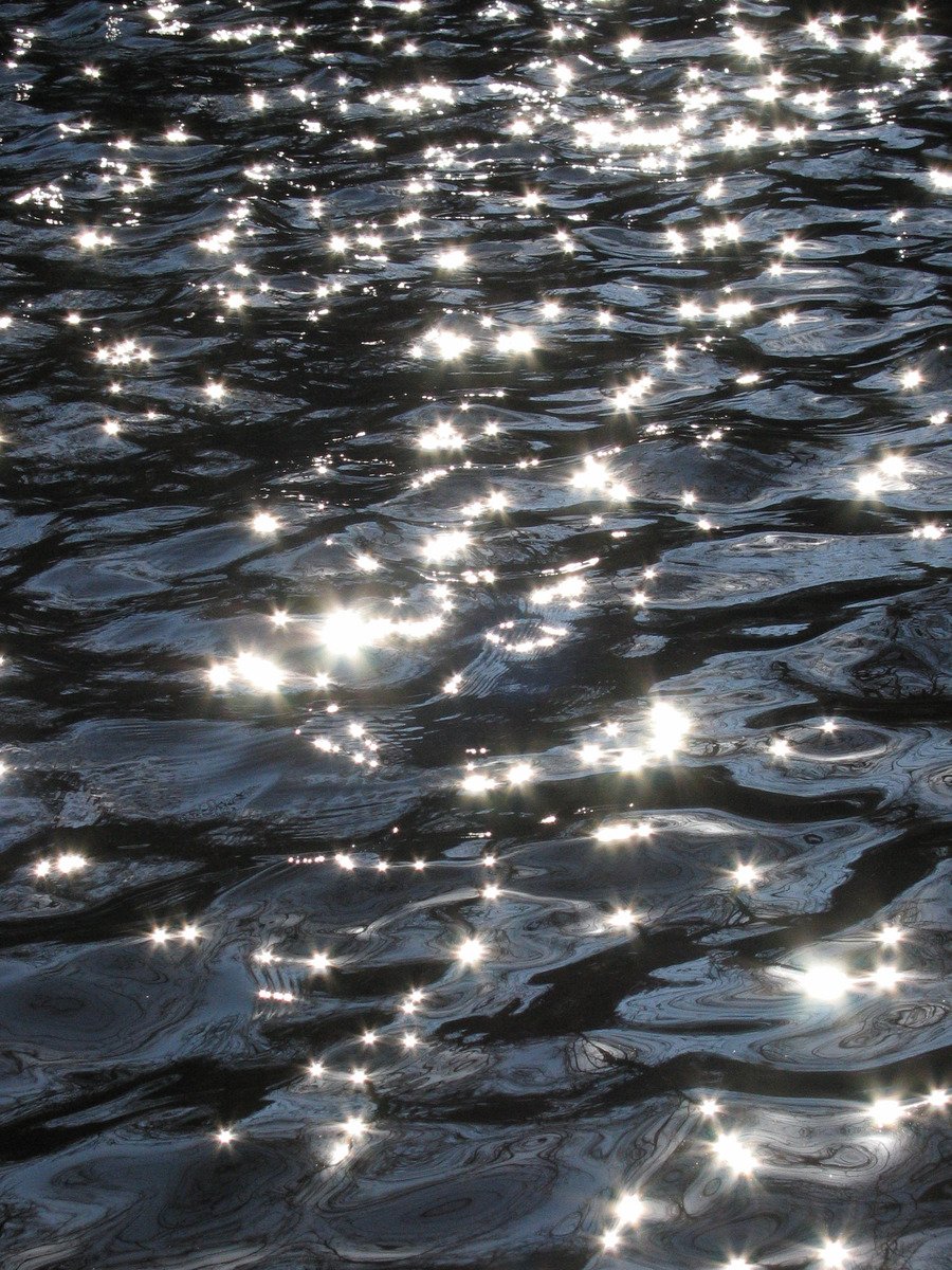 a small bunch of shining dots that are floating in water