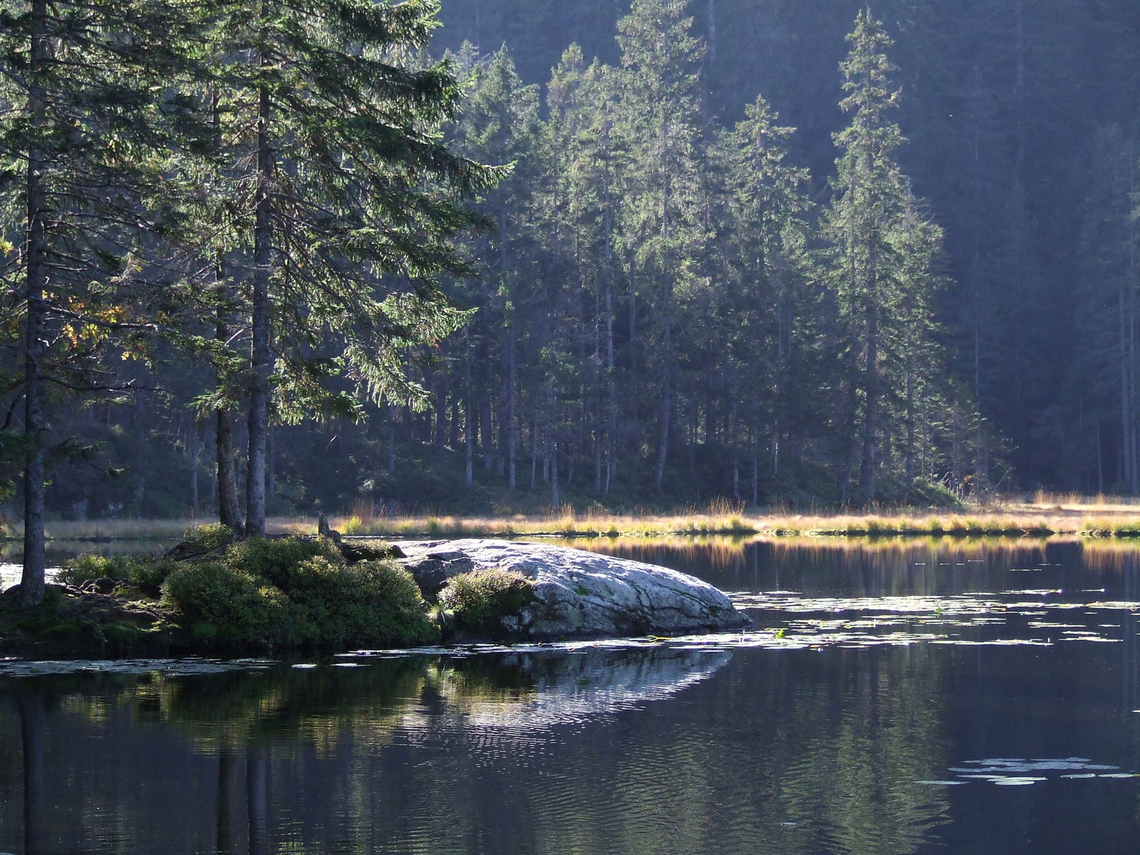 the woods and water in the distance have no much trees