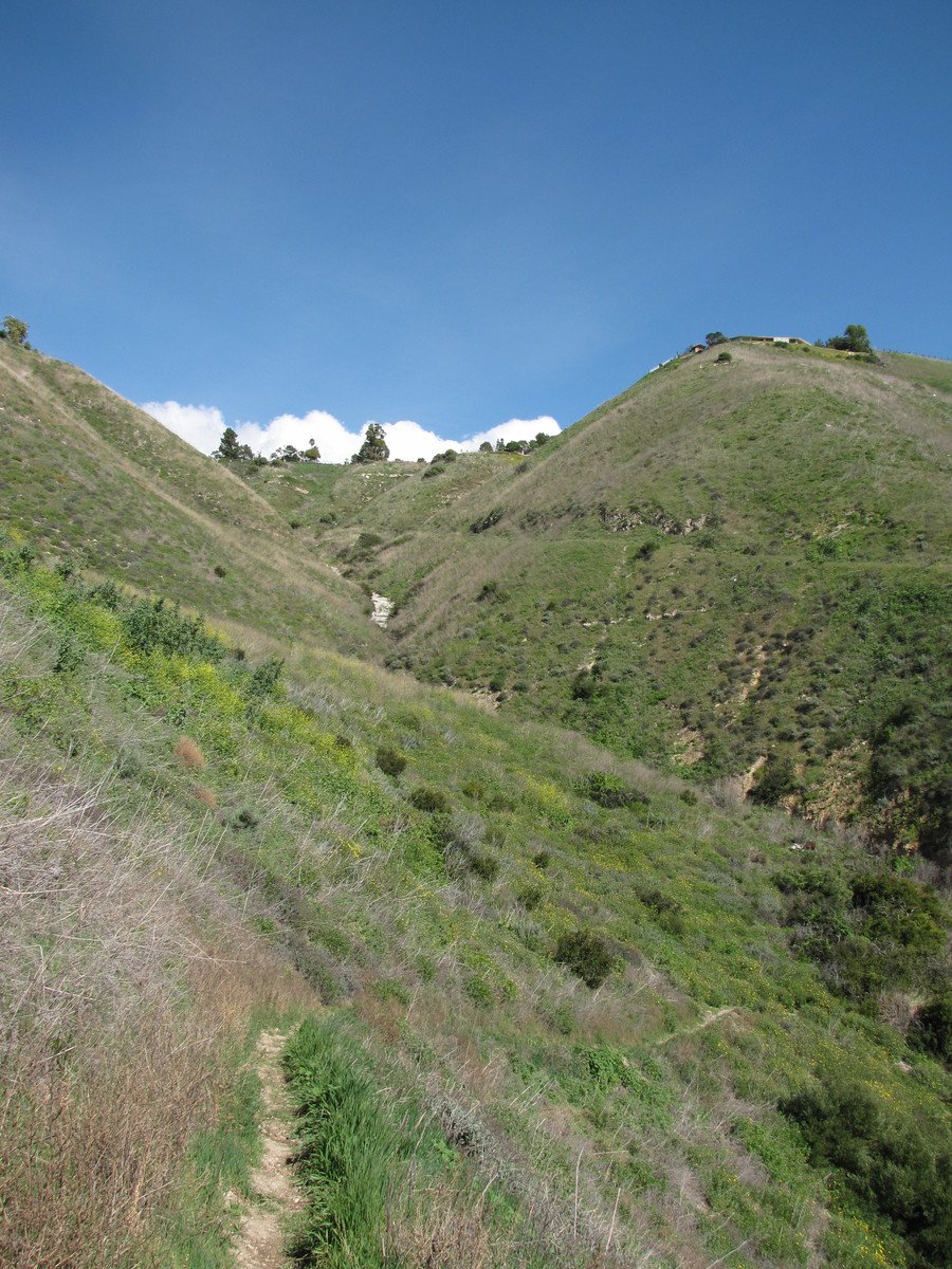 a grassy mountain with an overhanged line of shrubs