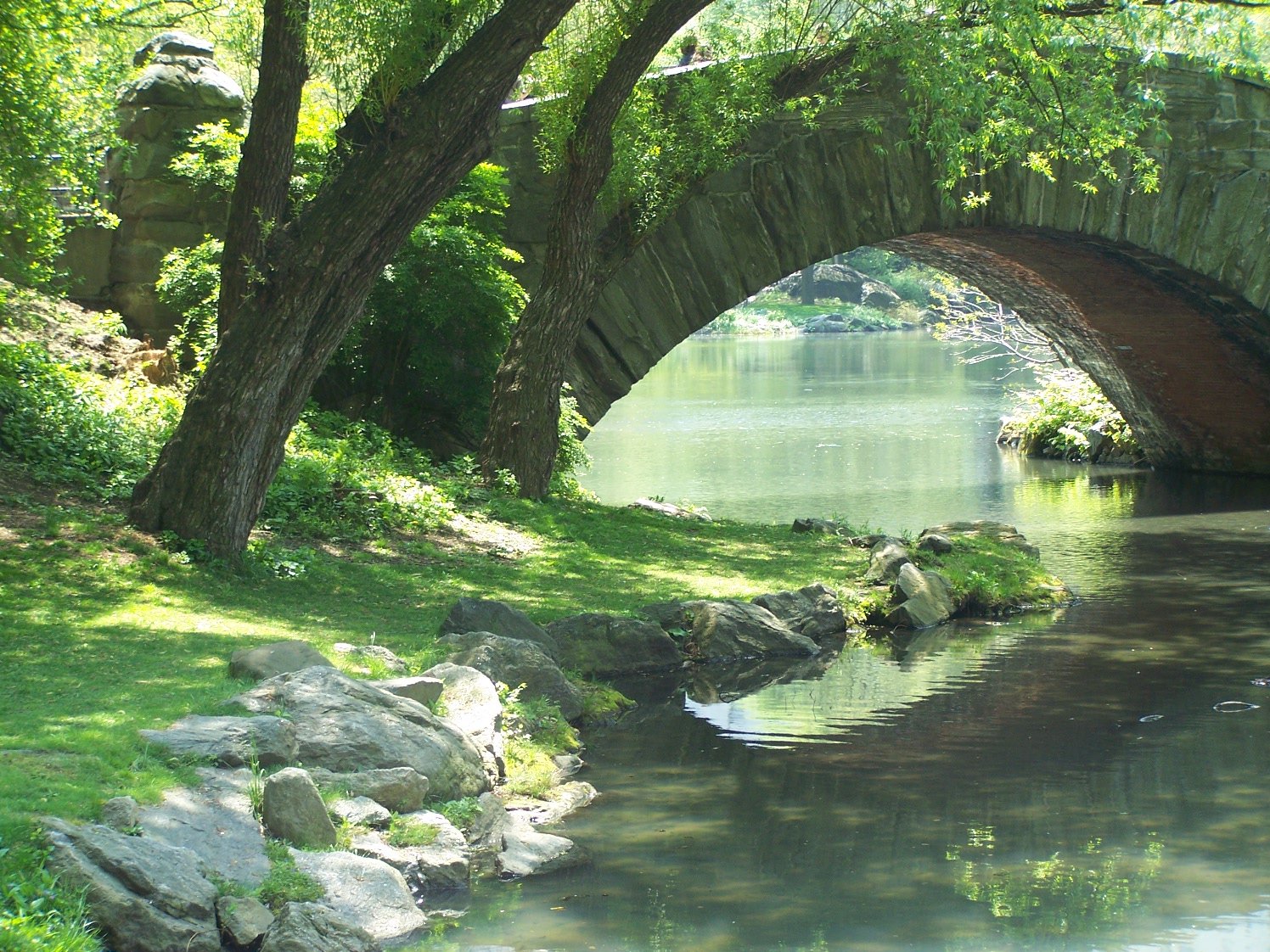 a bridge is seen above a body of water