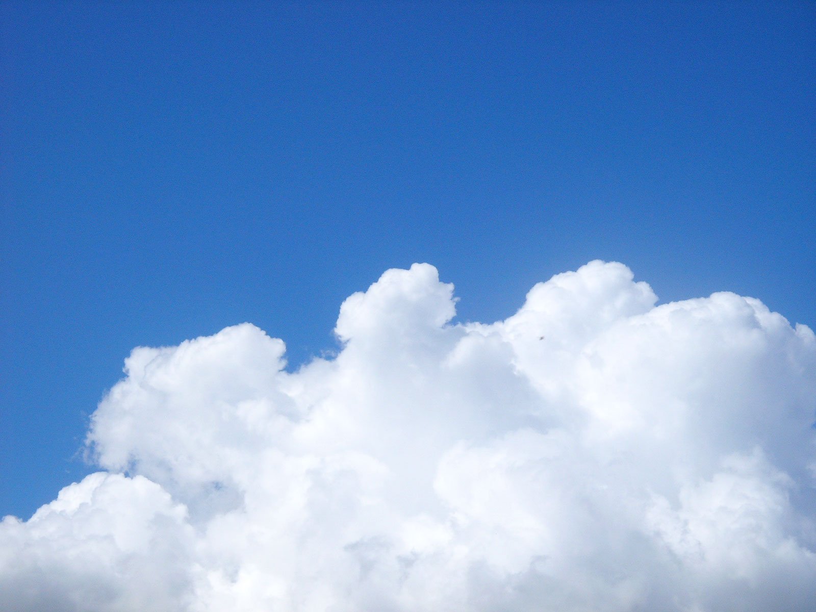 airplane flying high in a cloud filled sky