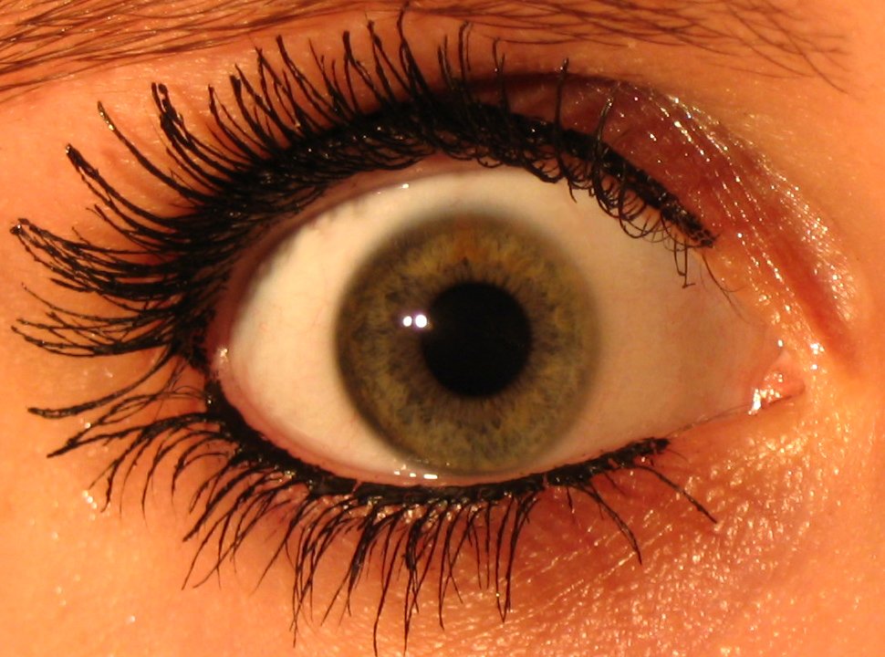 a close - up of the eye of a woman showing very large blue and green eyes