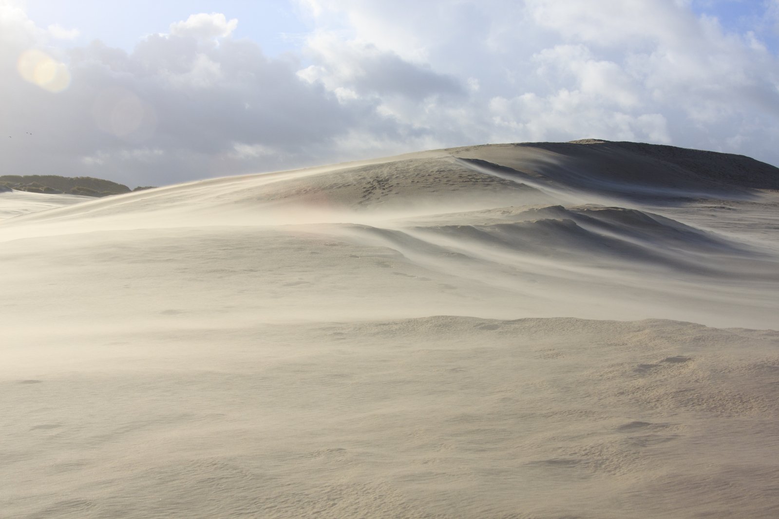 the white sand is blowing in the wind