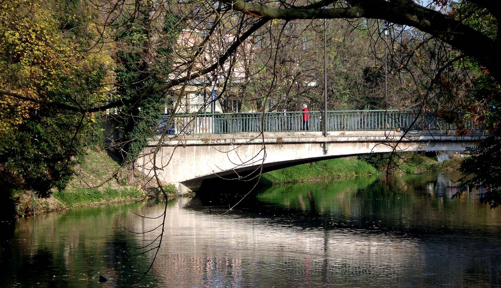 a bridge over a body of water near trees