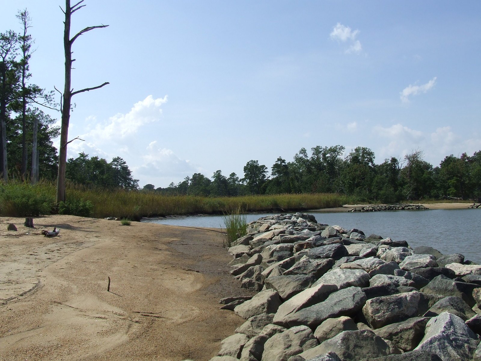 a long rock lined river that flows into the woods