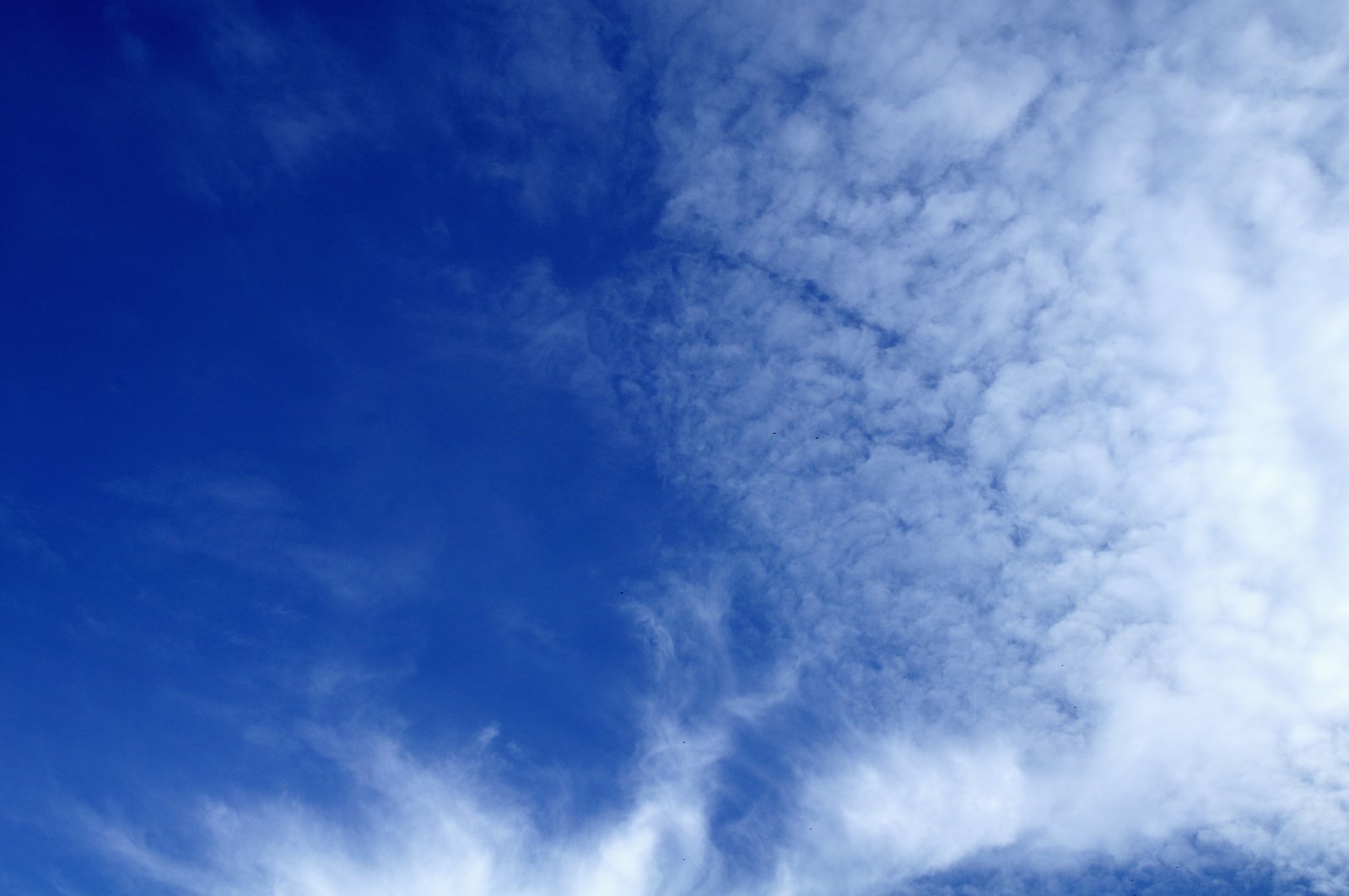 a plane flying in a blue sky filled with clouds