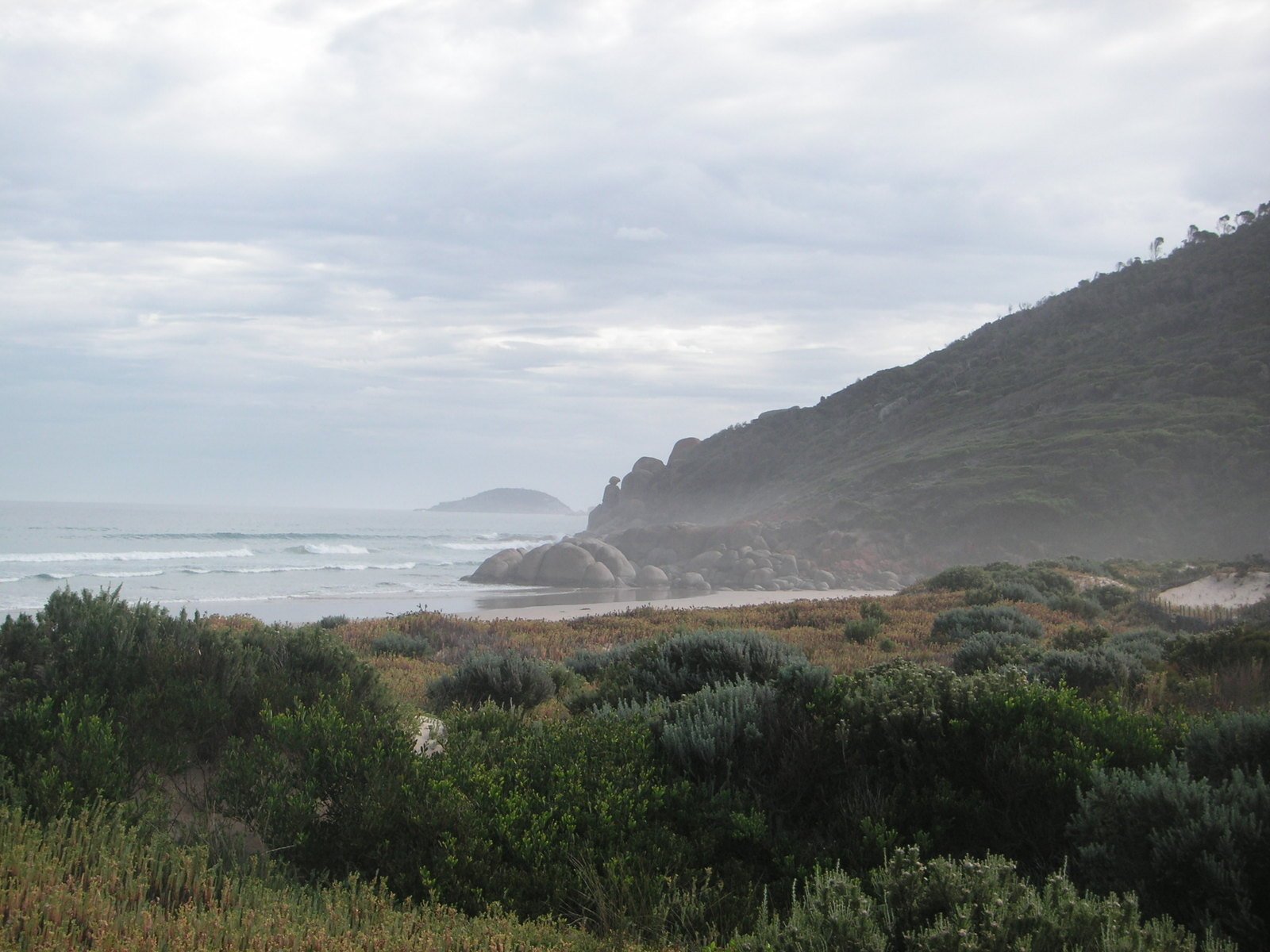 a rocky coast line with some shrubbery and a beach