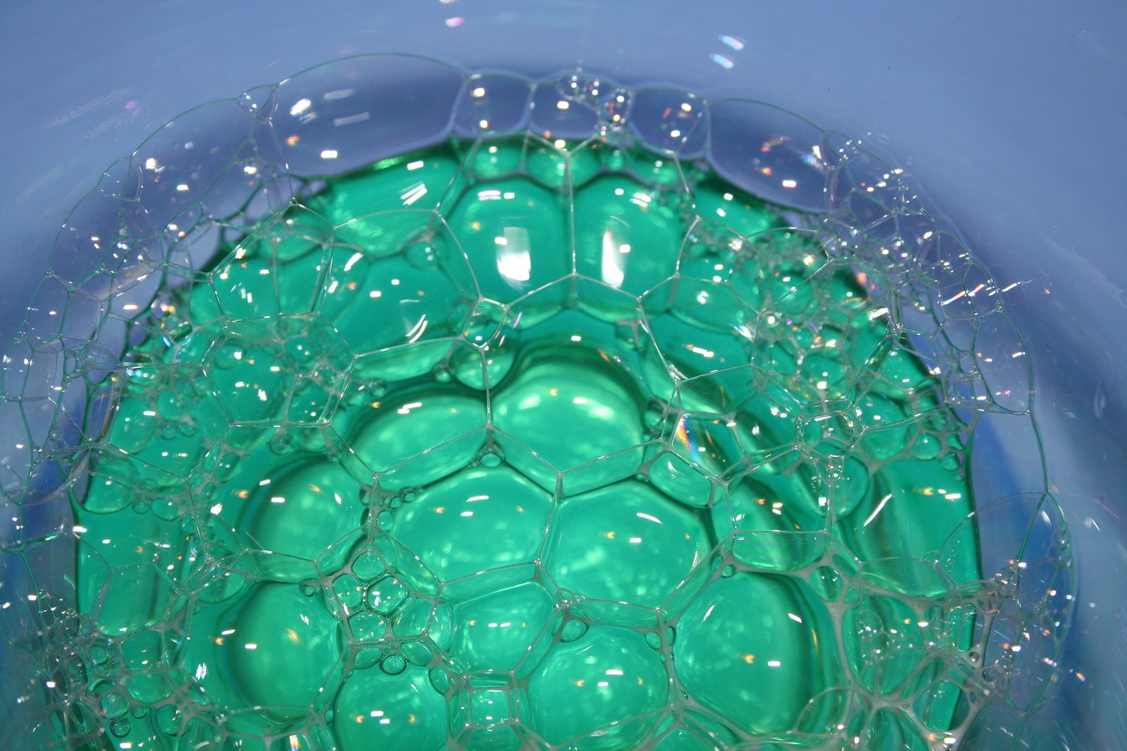 green bowl in water with circles on it