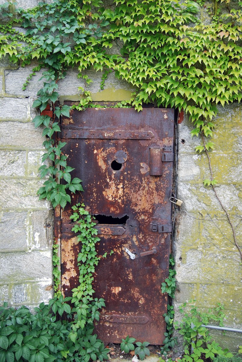 the door is covered with ivy and ivy vines