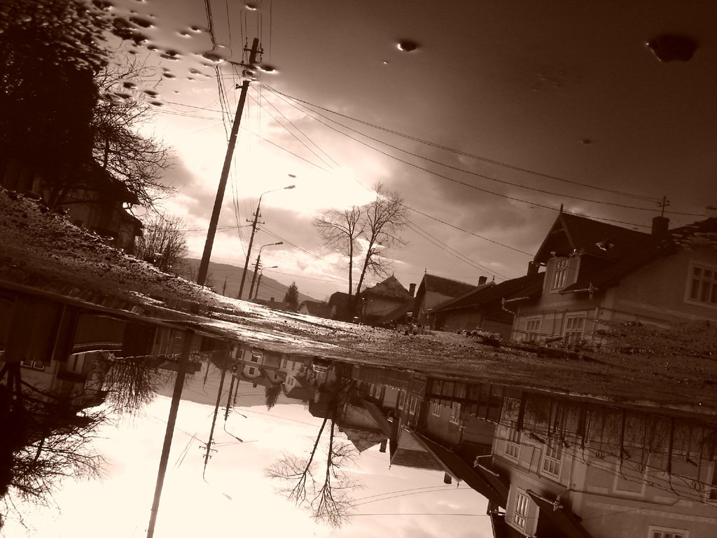 a flooded street with a house and trees next to it