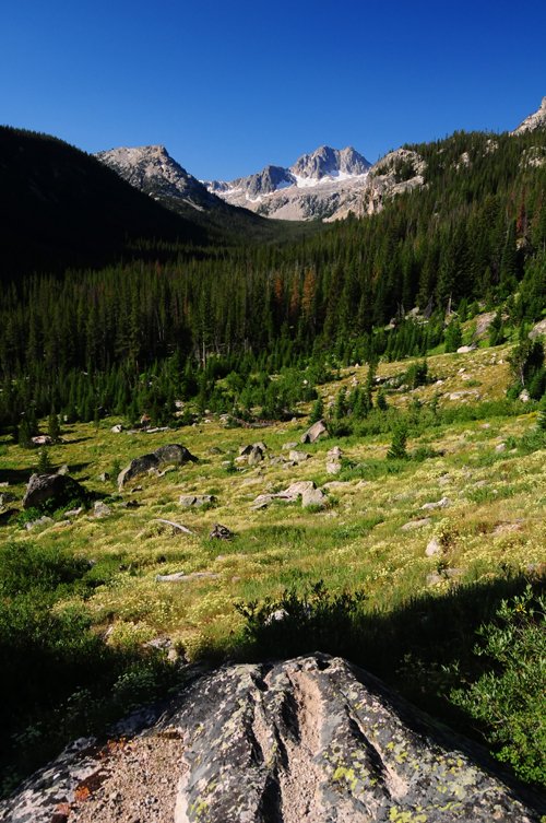 mountain terrain, near the bottom of the high alpine slopes
