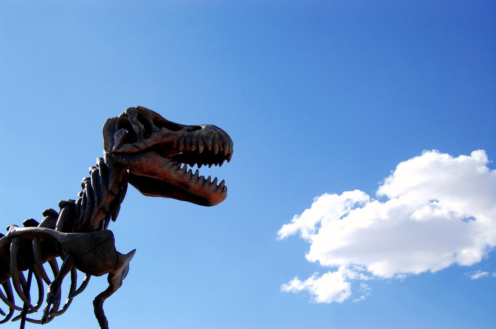 a metal dinosaur sculpture with its mouth open