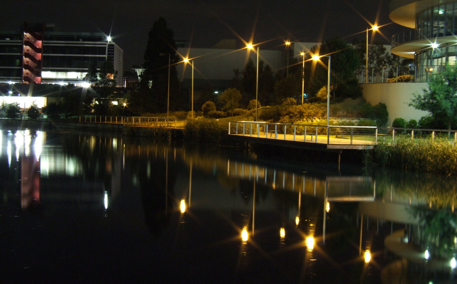 an urban waterfront area with lights on and trees along the water's edge