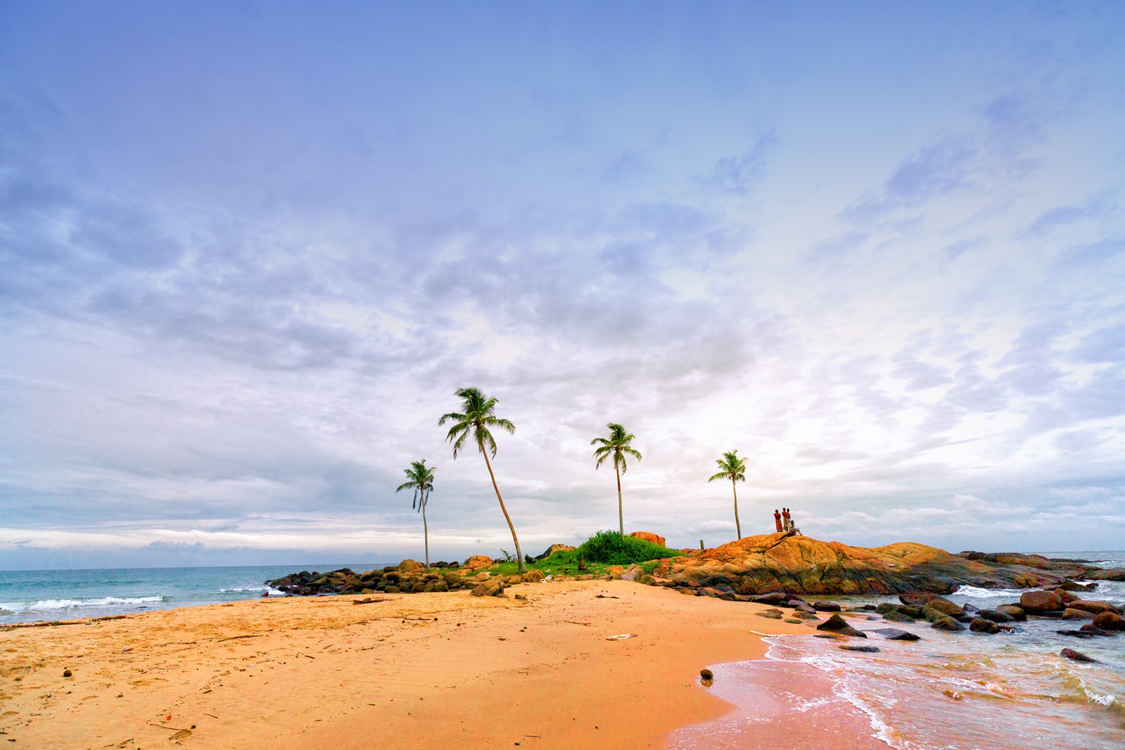 two palm trees sit at the end of the beach